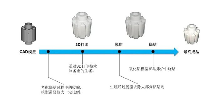 115728_419203_gsdt.jpg 4.jpg