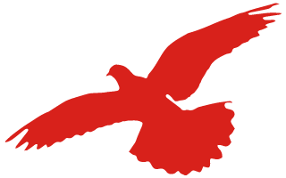 154008_677725_gsdt.png