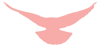 154008_765599_gsdt.png