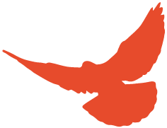 154008_896147_gsdt.png