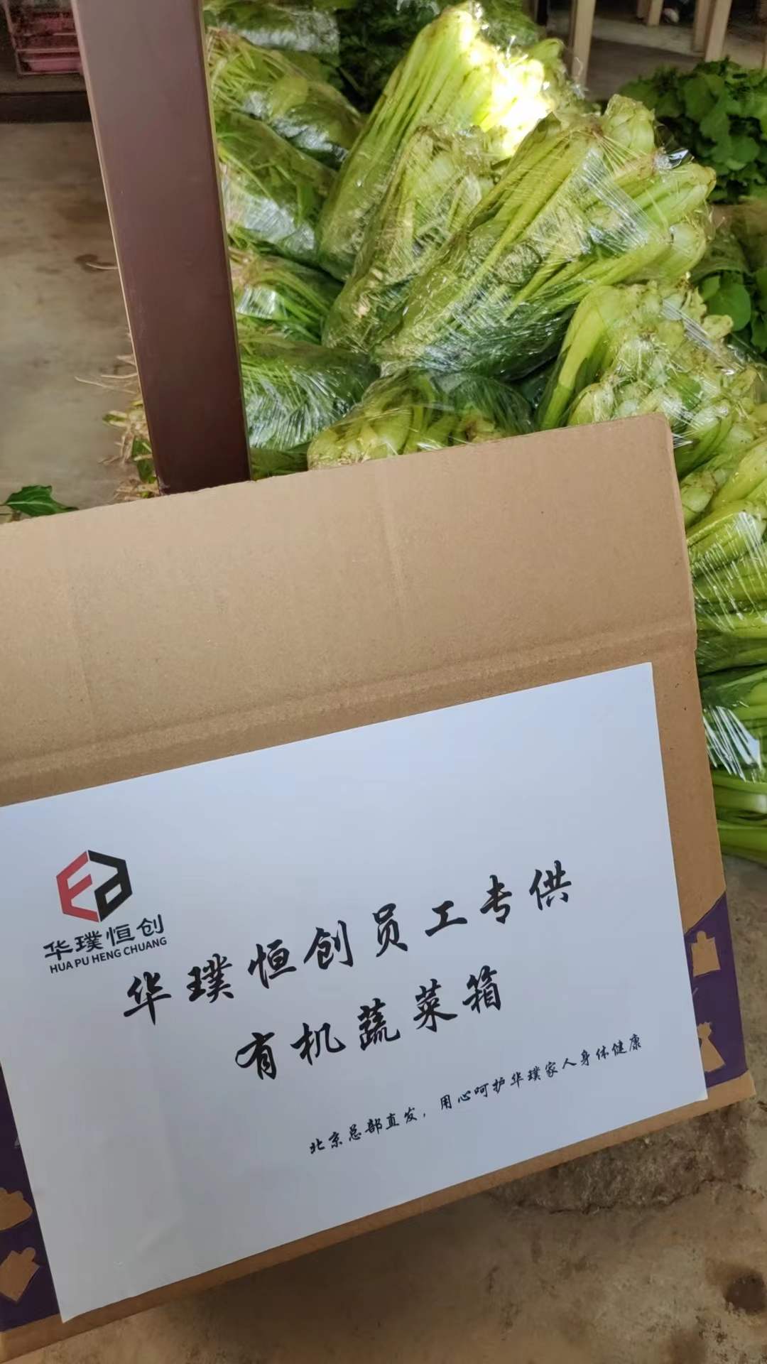 143900_697995_gsdt.jpg 菜园1.jpg