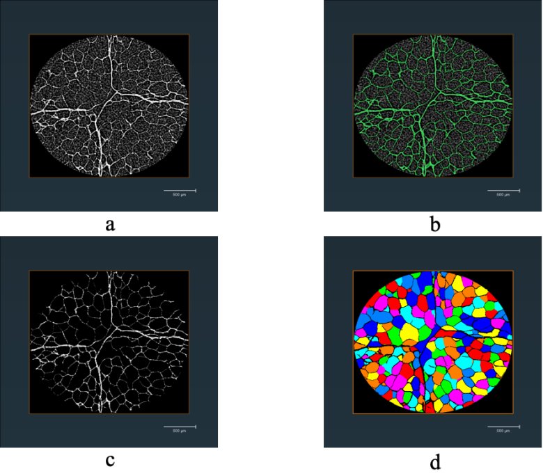 091853_320795_gsdt.png 091853_320795_gsdt.png