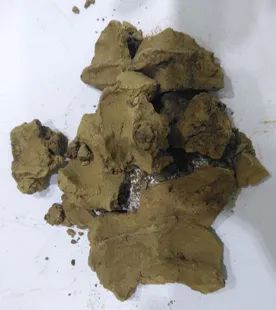 104724_064044_gsdt.jpg 微信图片_20250412103650.jpg