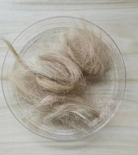 104956_657304_gsdt.png 微信图片_20250412103702.png