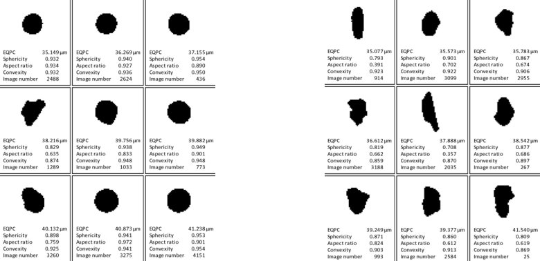 113726_927688_gsdt.png 图片1.png